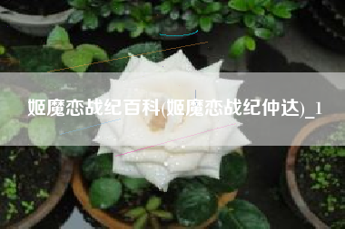 姬魔恋战纪百科(姬魔恋战纪仲达)_1