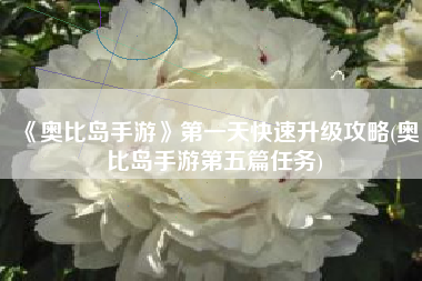 《奥比岛手游》第一天快速升级攻略(奥比岛手游第五篇任务)