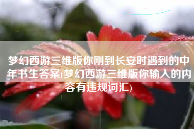 梦幻西游三维版你刚到长安时遇到的中年书生答案(梦幻西游三维版你输入的内容有违规词汇)
