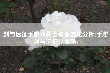 剑与远征手游双战士神器对比分析(手游剑与远征兑换码)