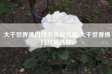 大千世界佛门经书获取攻略(大千世界佛门开局选择)