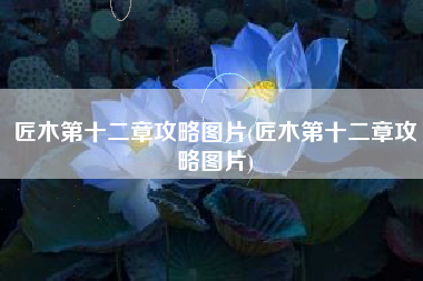 匠木第十二章攻略图片(匠木第十二章攻略图片)