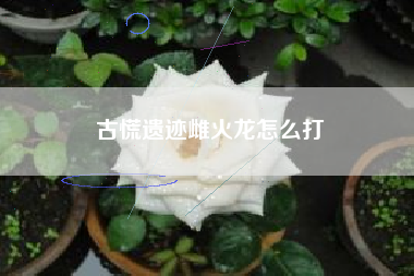 古慌遗迹雌火龙怎么打