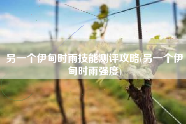 另一个伊甸时雨技能测评攻略(另一个伊甸时雨强度)