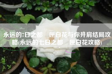 永远的7日之都黒匣白花与你并肩结局攻略(永远的七日之都黒匣白花攻略)