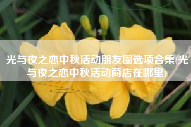 光与夜之恋中秋活动朋友圈选项合集(光与夜之恋中秋活动商店在哪里)