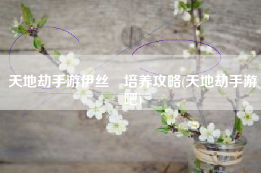 天地劫手游伊丝朶培养攻略(天地劫手游吧)