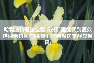 哈利波特魔法觉醒听说那里能买到速效逃课糖拼图在哪(哈利波特魔法觉醒兑换码)