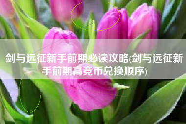 剑与远征新手前期必读攻略(剑与远征新手前期高竞币兑换顺序)