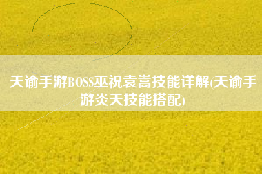 天谕手游BOSS巫祝袁嵩技能详解(天谕手游炎天技能搭配)