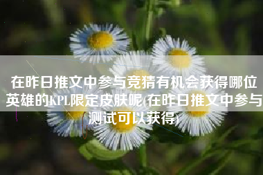 在昨日推文中参与竞猜有机会获得哪位英雄的KPL限定皮肤呢(在昨日推文中参与测试可以获得)