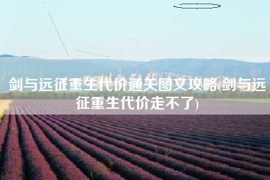 剑与远征重生代价通关图文攻略(剑与远征重生代价走不了)