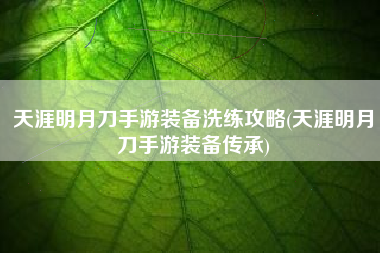 天涯明月刀手游装备洗练攻略(天涯明月刀手游装备传承)