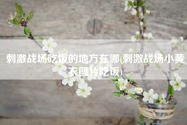 刺激战场吃饭的地方在哪(刺激战场小黄衣图片吃饭)