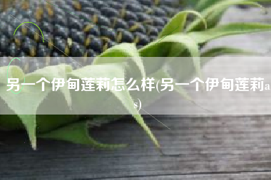 另一个伊甸莲莉怎么样(另一个伊甸莲莉as)