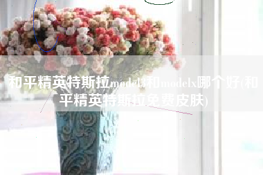和平精英特斯拉model3和modelx哪个好(和平精英特斯拉免费皮肤)