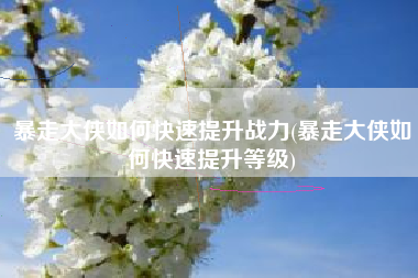 暴走大侠如何快速提升战力(暴走大侠如何快速提升等级)