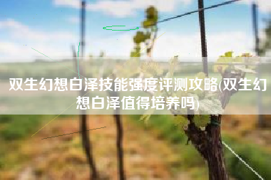 双生幻想白泽技能强度评测攻略(双生幻想白泽值得培养吗)