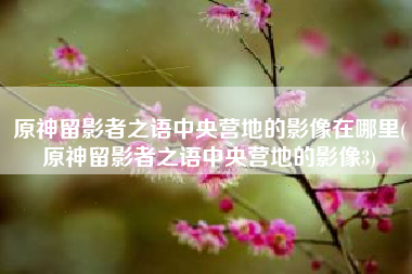 原神留影者之语中央营地的影像在哪里(原神留影者之语中央营地的影像3)