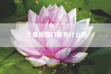 大秦帝国门客有什么用