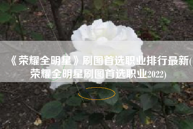 《荣耀全明星》刷图首选职业排行最新(荣耀全明星刷图首选职业2022)