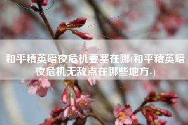 和平精英暗夜危机要塞在哪(和平精英暗夜危机无敌点在哪些地方-) 和平精英暗夜危机要塞在哪(和平精英暗夜危机无敌点在哪些地方-)