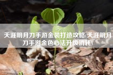 天涯明月刀手游金装打造攻略(天涯明月刀手游金色心法升级消耗)