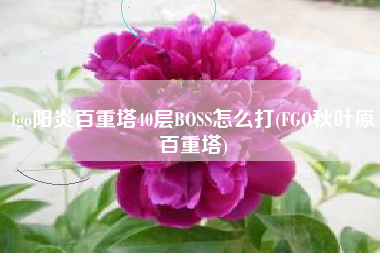 fgo阳炎百重塔40层BOSS怎么打(FGO秋叶原百重塔)