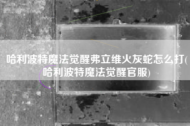 哈利波特魔法觉醒弗立维火灰蛇怎么打(哈利波特魔法觉醒官服)
