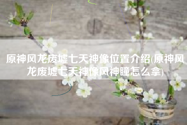 原神风龙废墟七天神像位置介绍(原神风龙废墟七天神像风神瞳怎么拿)