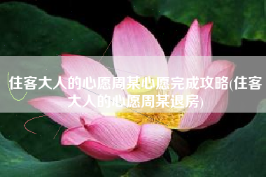 住客大人的心愿周某心愿完成攻略(住客大人的心愿周某退房)