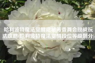 哈利波特魔法觉醒隐秘芳香舞会挑战玩法攻略(哈利波特魔法觉醒段位等级划分)