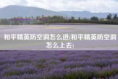 和平精英防空洞怎么进(和平精英防空洞怎么上去)