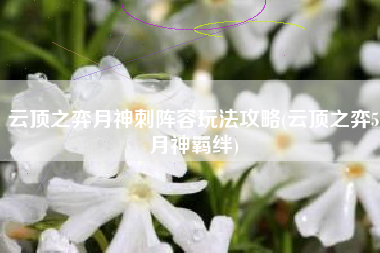 云顶之弈月神刺阵容玩法攻略(云顶之弈5月神羁绊)