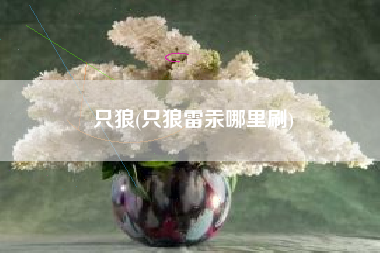 只狼(只狼雷汞哪里刷)