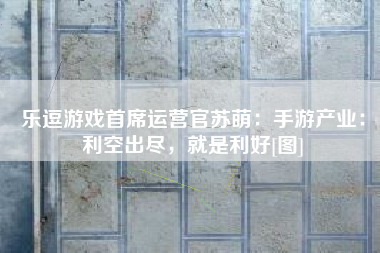 乐逗游戏首席运营官苏萌：手游产业：利空出尽，就是利好[图]
