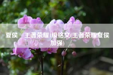 夏侯惇王者荣耀1级铭文(王者荣耀夏侯惇加强)