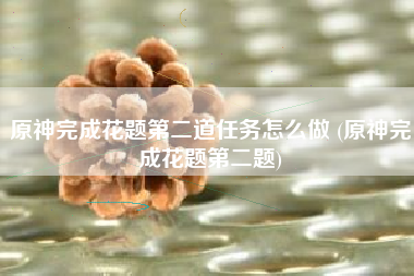 原神完成花题第二道任务怎么做 (原神完成花题第二题)