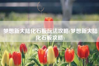 梦想新大陆化石板玩法攻略(梦想新大陆化石板攻略)