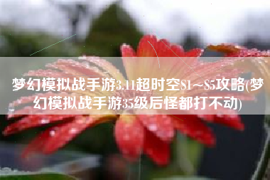 梦幻模拟战手游3.11超时空S1~S5攻略(梦幻模拟战手游35级后怪都打不动)