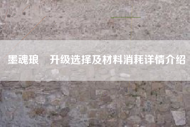 墨魂琅玕升级选择及材料消耗详情介绍