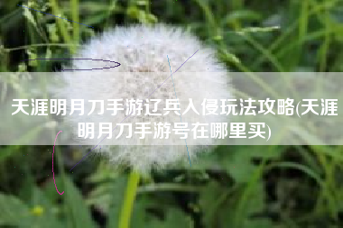 天涯明月刀手游辽兵入侵玩法攻略(天涯明月刀手游号在哪里买)