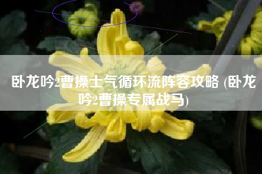 卧龙吟2曹操士气循环流阵容攻略 (卧龙吟2曹操专属战马) 卧龙吟2曹操士气循环流阵容攻略 (卧龙吟2曹操专属战马)