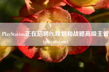 PlayStation正在招聘PC规划和战略高级主管(playstation)