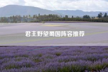 君主野望蜀国阵容推荐
