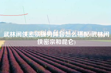 武林闲侠密宗强势阵容怎么搭配(武林闲侠密宗和昆仑)