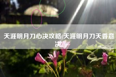 天涯明月刀心决攻略(天涯明月刀天香意决)