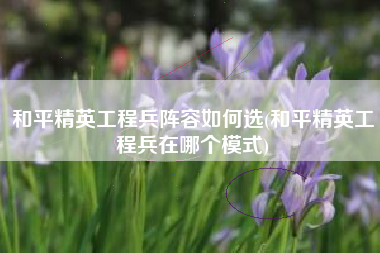 和平精英工程兵阵容如何选(和平精英工程兵在哪个模式)