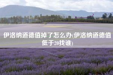 伊洛纳道德值掉了怎么办(伊洛纳道德值低于20找谁)