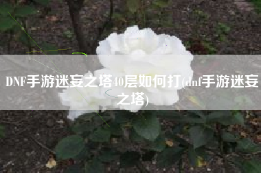 DNF手游迷妄之塔40层如何打(dnf手游迷妄之塔)